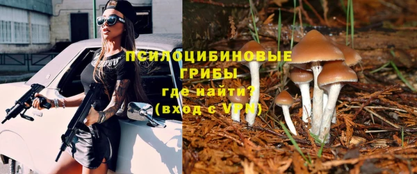 твердый Абаза