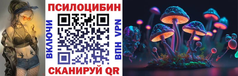 Псилоцибиновые грибы Cubensis  Нальчик 